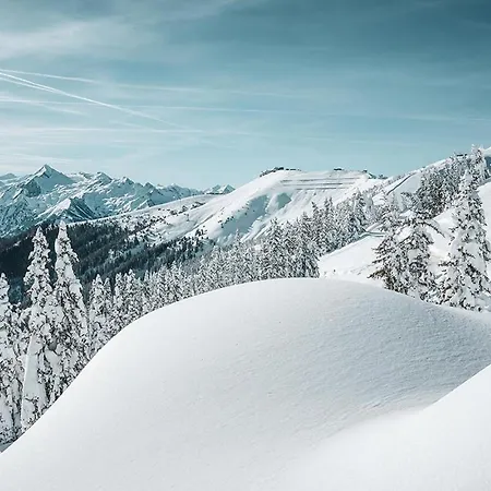 Crown Of The Alps *